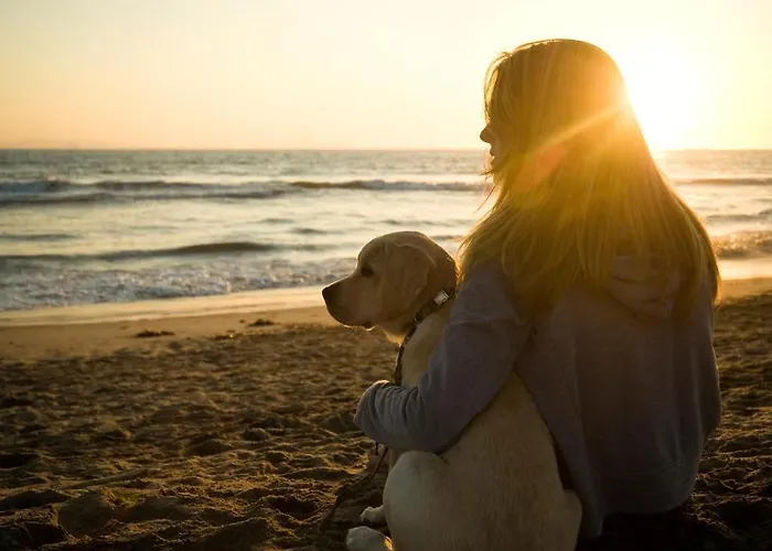 Residenza Le Terrazze 4* Alassio